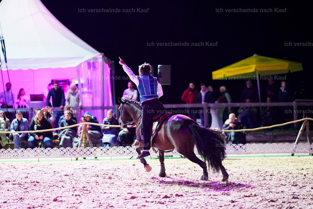 Gala-662 | working equitationturnier fotograf videograf stoibphotography marixx film working equitation deutschland reitsport turnierfotografie eventfotografie equestrian events