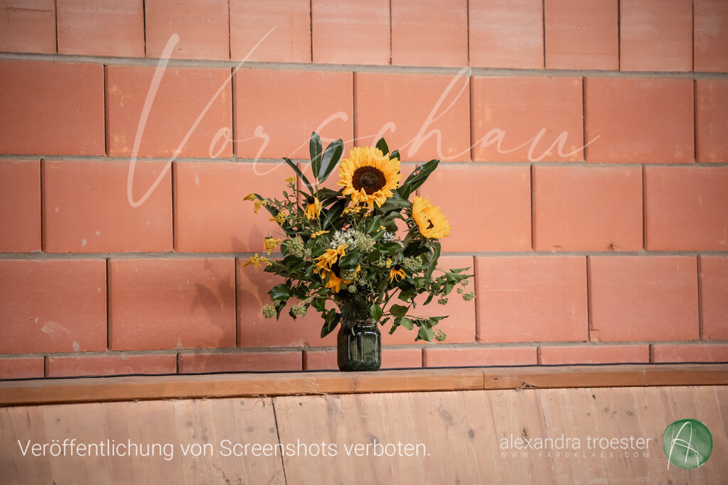 250913_Barop_11_201 | farbklaex.com