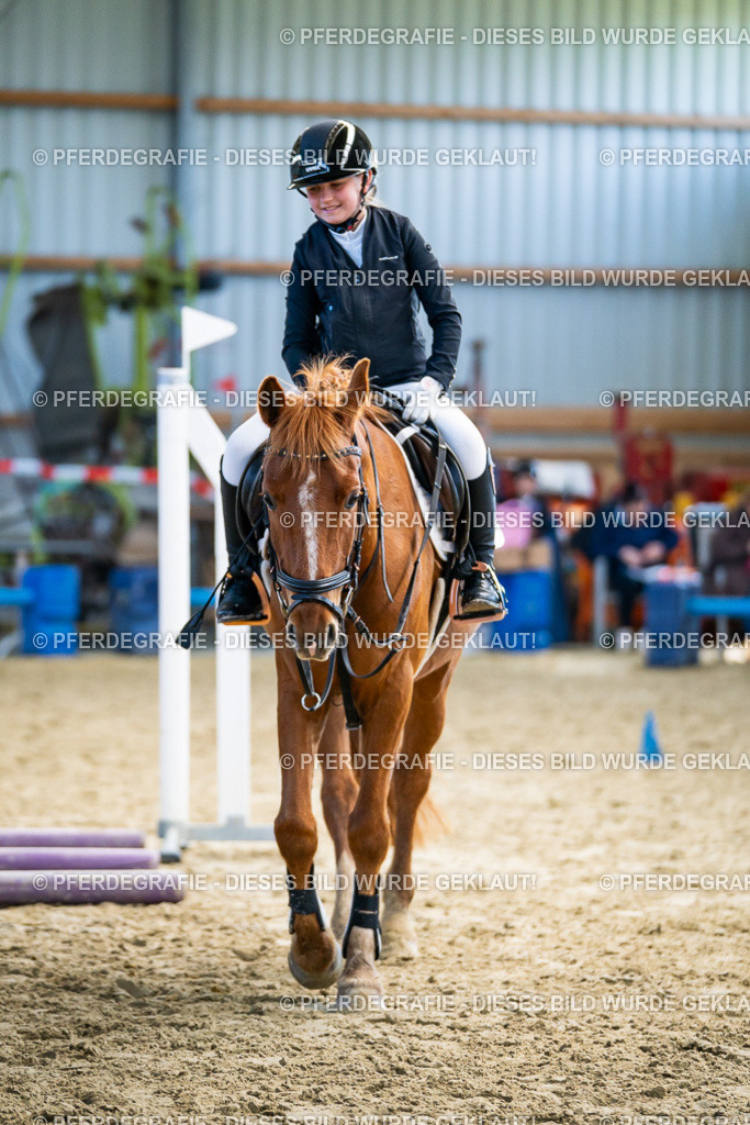 DSC01990 | Pferdegrafie