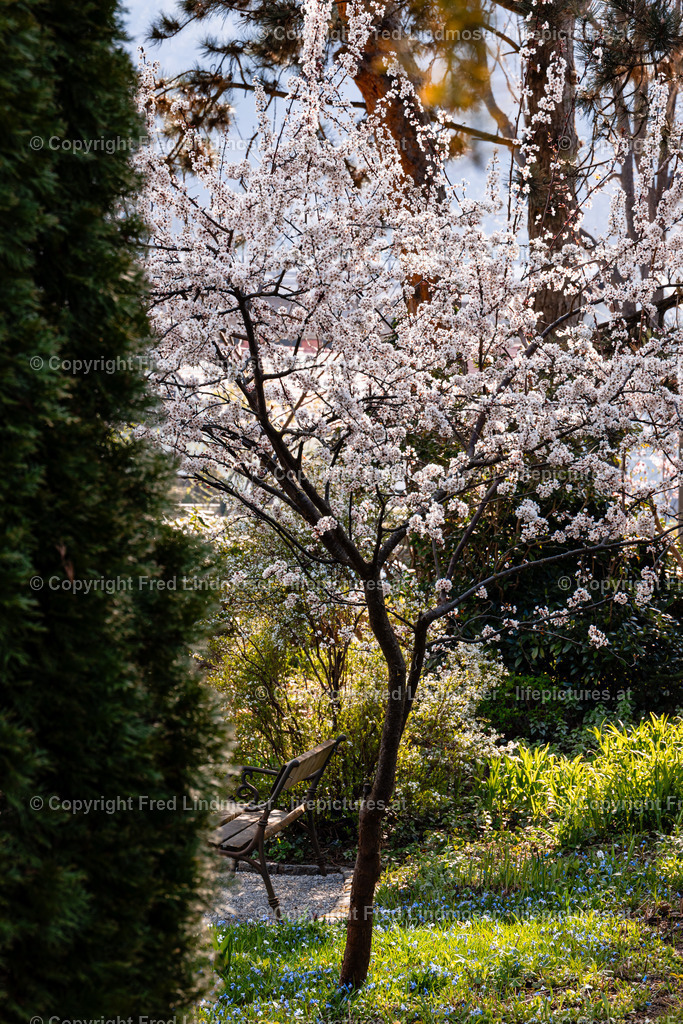 Frohnleiten Osterdeko 09042025 | Fotos und Fotoprodukte - Realisiert mit Pictrs.com