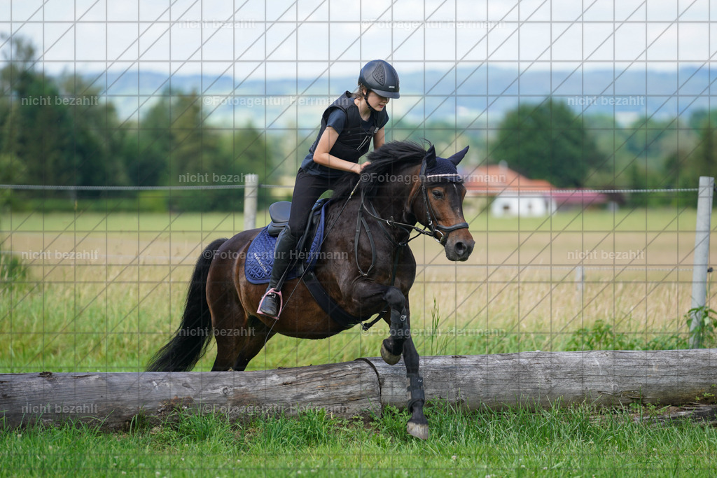 20240622-FAH07934 | Turnierfotografen Bayern, Reitsportbilder aus dem Geländekurs mit Felix Etzel auf dem Gut Waitzacker 2024