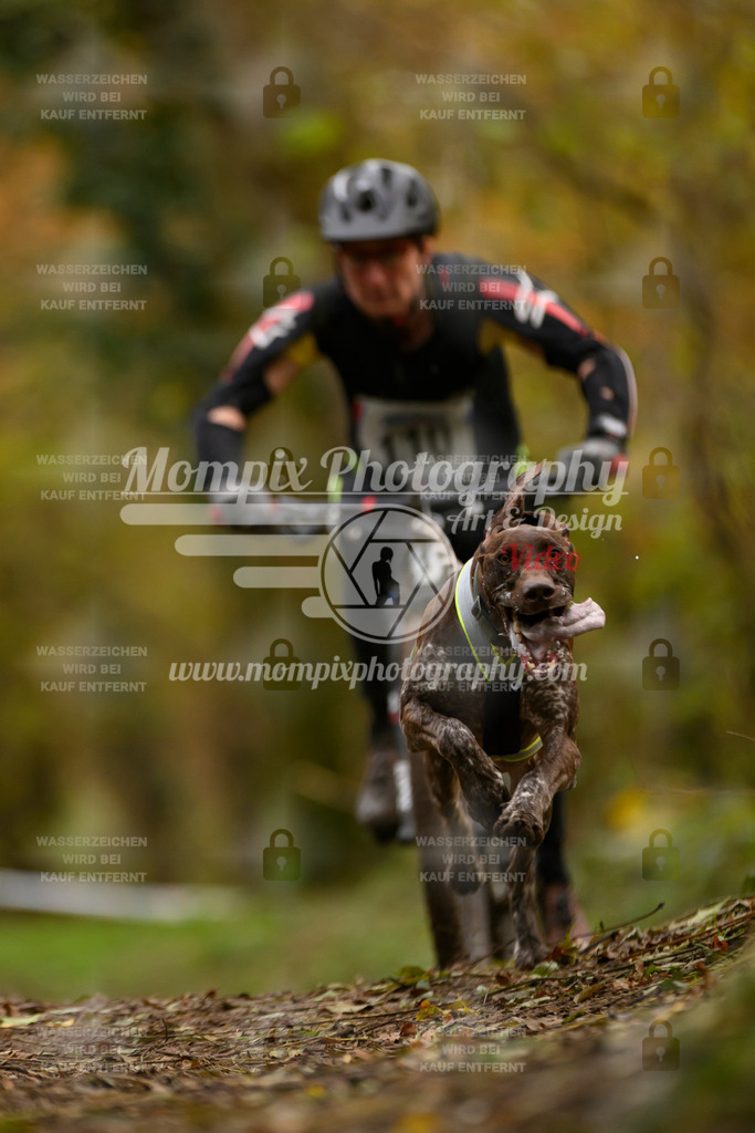 MompixPhotography_Bischwiller24_SA_VTT-13 | PayLife