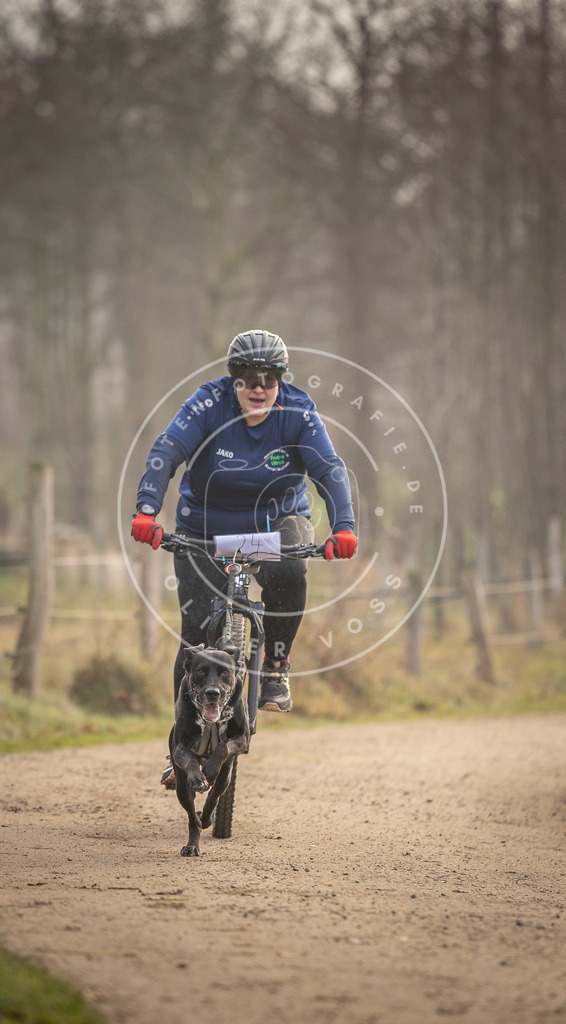 Pfotenfotografie_DV3A2010 | Hundefotografie, Tierfotograf, Pfotenfotografie, Fotoshooting Hund, Hunde Portrait, Hundesport, Hundeportraits, Heideshooting, Hunde, Sportfotograf, Hundefotograf, Turnierhundsport, THS,  - Realisiert mit Pictrs.com