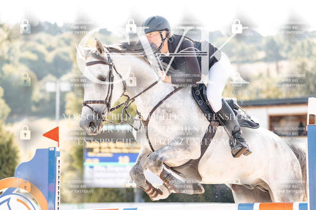 CK902077 | Turnierfotografie Pferdefotografie Trier Rheinland-Pfalz Pferdesport Reitsport Tierfotografie Sportfotografie Pferdevideo Pferdevideografie Equestrianvideography equestrianphotography  - Realisiert mit Pictrs.com