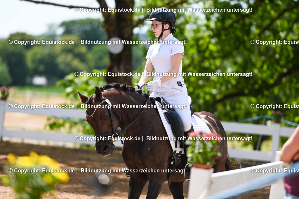 20230715_09_Dressur-WB_0233 | equistock