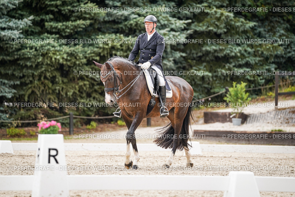 DSC06920 | Pferdegrafie