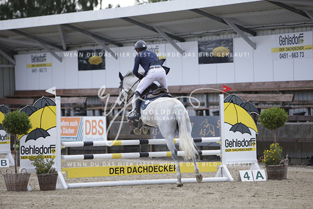 1J2A8537Edouard Hennau_ Maleika I_ Kn700_ Havekost | Foto- und Videografie für alles rund ums Pferd. Hochwertige Bilder und Videos vom Spring- und Dressurreiten, Voltigieren & mehr. Jetzt aktuelle Veranstaltungen und Preise im Shop ansehen. - Realisiert mit Pictrs.com