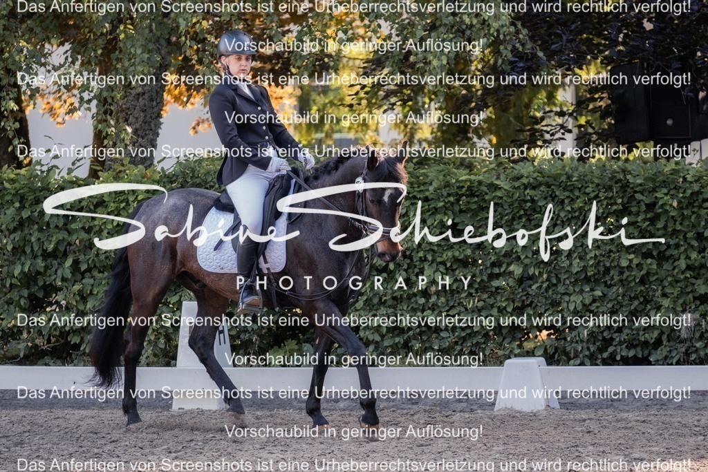 2025_05_31_DSCF2837 | People- und Tierfotografie, Imageaufnahmen, Veranstaltungsfotografie und Wandbilder aus der Natur ★ Made in Germany ✔️ Druck + Downloads ✔️ Naturfotografie in Top Qualität ★ schneller Versand, weltweite Lieferung! - Realisiert mit Pictrs.com