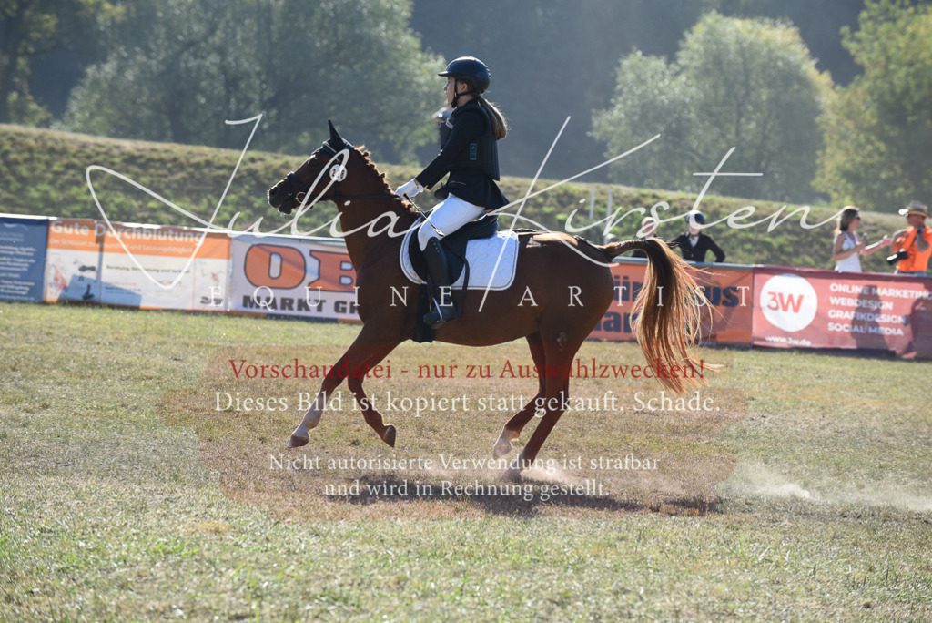 DSC_5912 | Pferde- und Turnierfotografie in Westsachsen. Pferdeportraits, Auftragszeichnungen und intuitive Kunst.