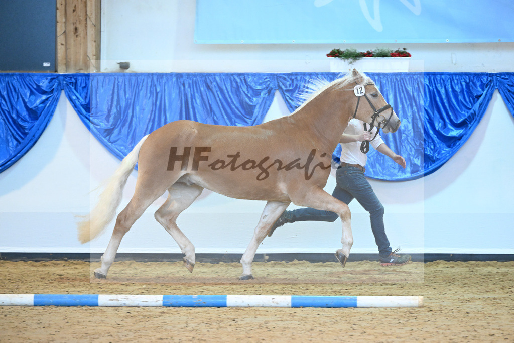 Kat-Nr. 12 Sterzing v. Steingold_Niedermair_60220697 | hf-fotografie - Realisiert mit Pictrs.com