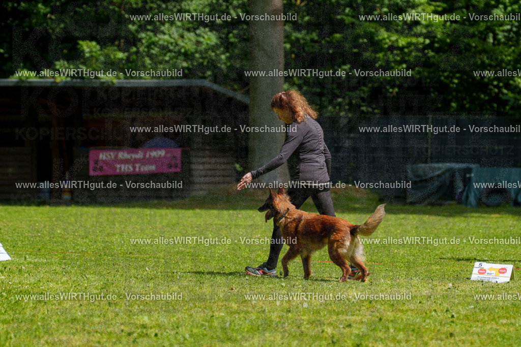 @allesWIRTHgut_Tierfotografie - www.allesWIRTHgut.de - 7R503696 | Professionelle Tierfotografie in Mönchengladbach von Daniel Wirth (allesWIRTHgut). Liebevolle & natürliche Bilder von Hunden & Katzen für unvergessliche Erinnerungen.