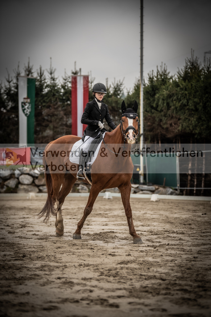 DSC_0283 | equestrian-live-com