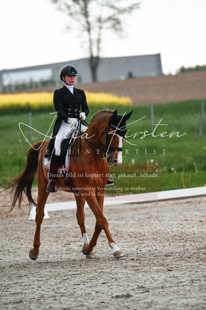 20230514_JK-Röhrsdorf-21-639 | Pferde- und Turnierfotografie in Westsachsen. Pferdeportraits, Auftragszeichnungen und intuitive Kunst.