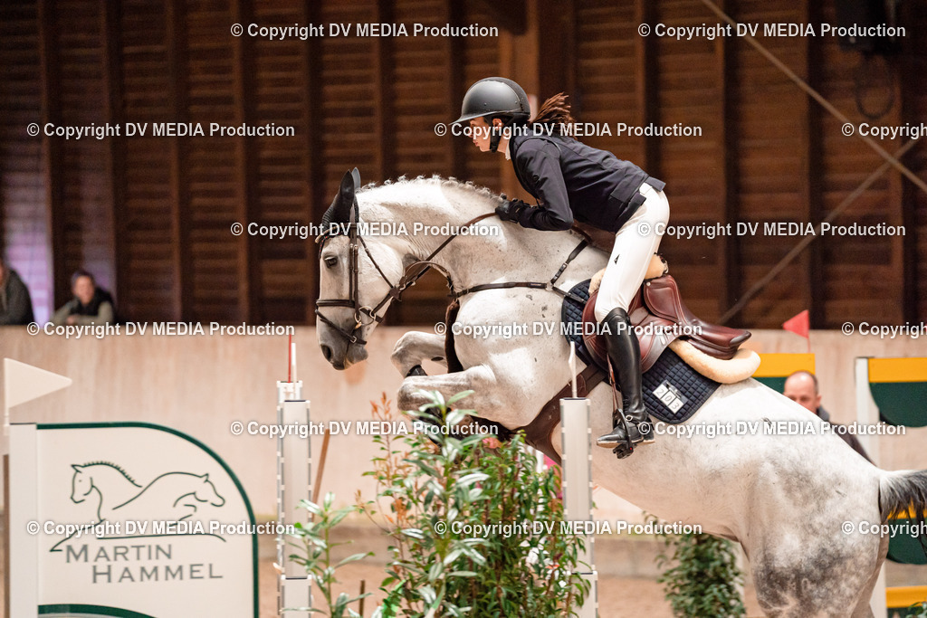 Springen Tag 1-394 | dv-media-shop - Realisiert mit Pictrs.com