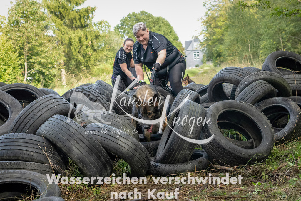 1504_ZZ91032-Bearbeitet | kk-dogfotos