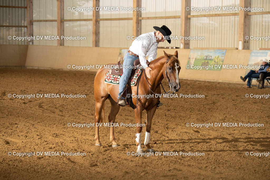 LAU00985 | dv-media-shop - Realisiert mit Pictrs.com