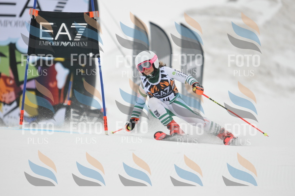 DSC_7409 | holidayphoto