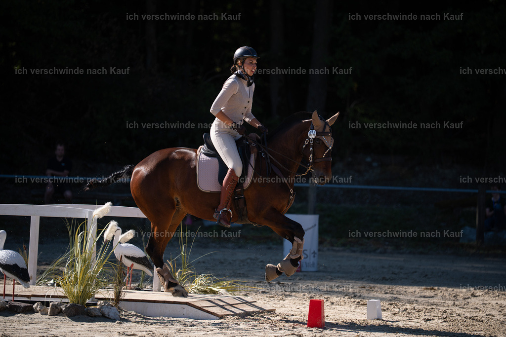 WL_SP_74_Stoibphotography_SO14740 | working equitationturnier fotograf videograf stoibphotography marixx film working equitation deutschland reitsport turnierfotografie eventfotografie equestrian events