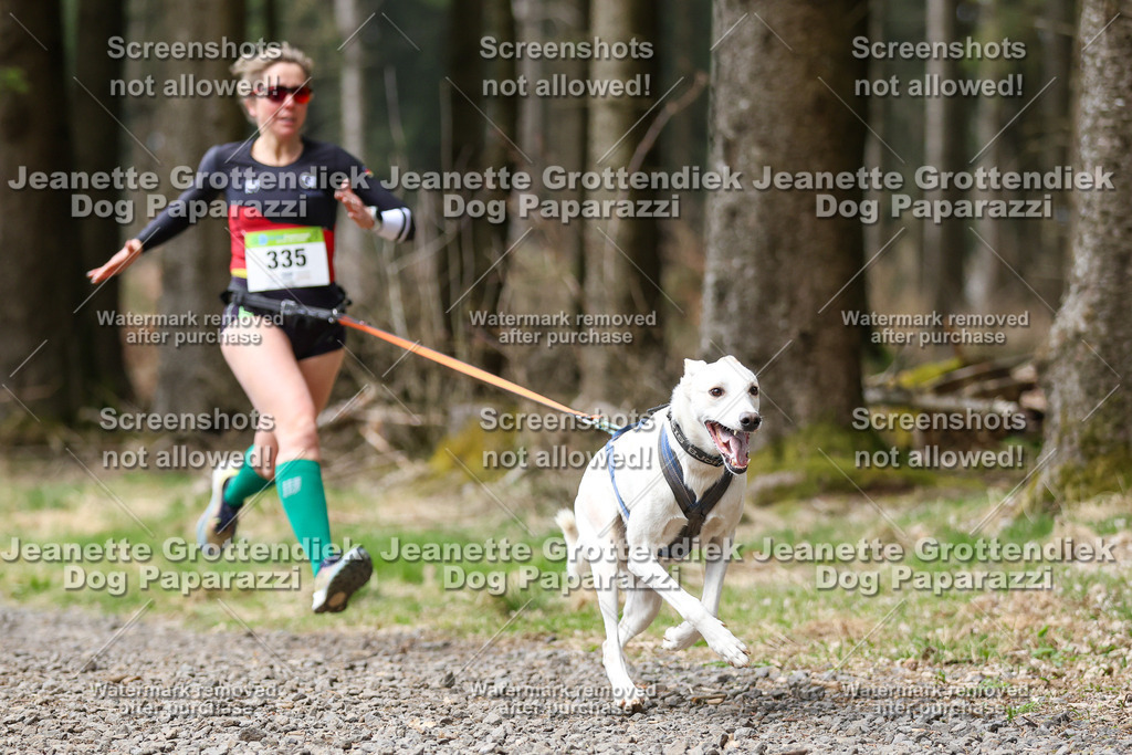 Dog Paparazzi - VCC26-489 | Dog Paparazzi Jeanette Grottendiek Fotografie & Videografie - Realisiert mit Pictrs.com
