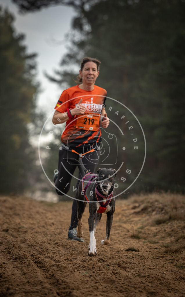 Pfotenfotografie_DV3A5349 | Hundefotografie, Tierfotograf, Pfotenfotografie, Fotoshooting Hund, Hunde Portrait, Hundesport, Hundeportraits, Heideshooting, Hunde, Sportfotograf, Hundefotograf, Turnierhundsport, THS,  - Realisiert mit Pictrs.com