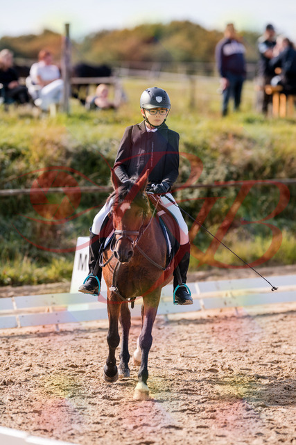 2026_10_03_Siefer-Hof_122317_Z81_23434484 | Professionelle Reitsport-, Turnier- und Eventfotografie von Robert Broda. Galerien mit ausgewählten und bearbeiteten Bildern direkt online ansehen und bestellen.