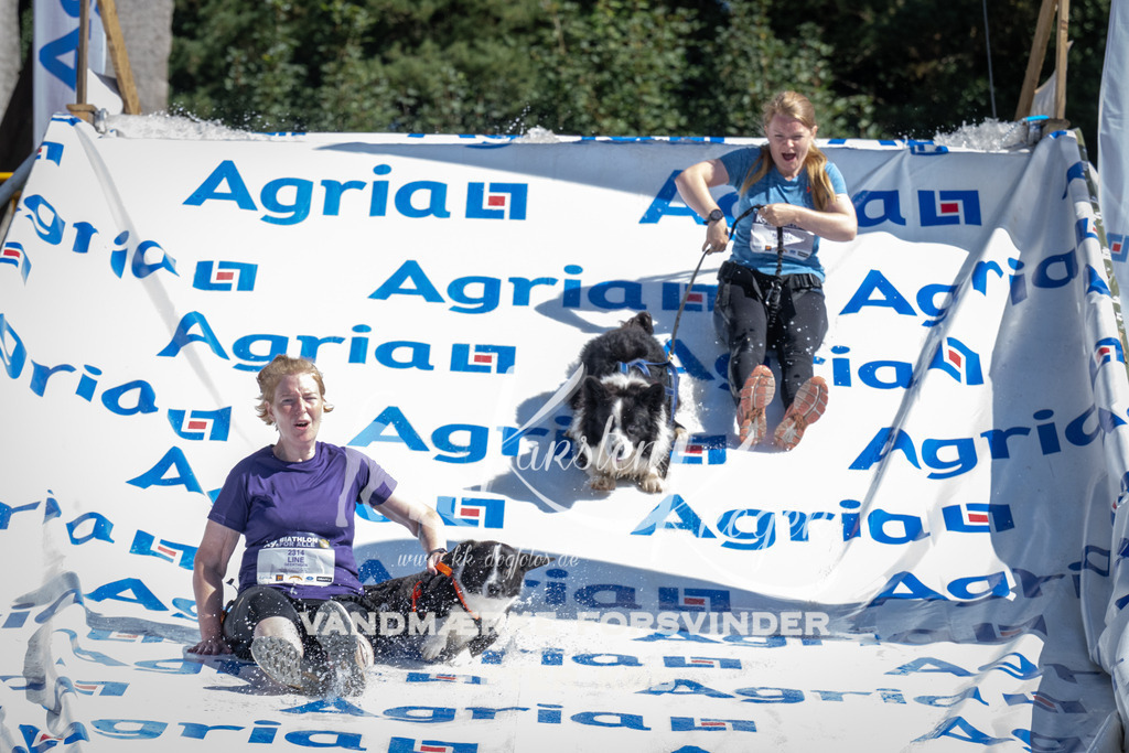 1132_ZZ92437 | kk-dogfotos