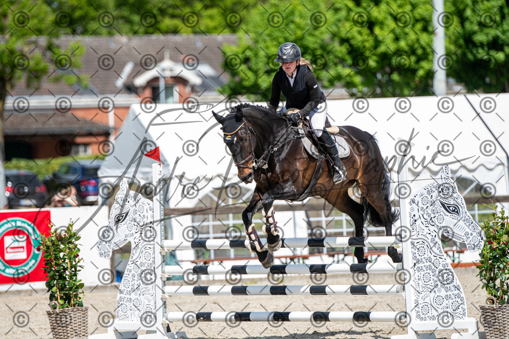 KPT_5239 | andre_photographic