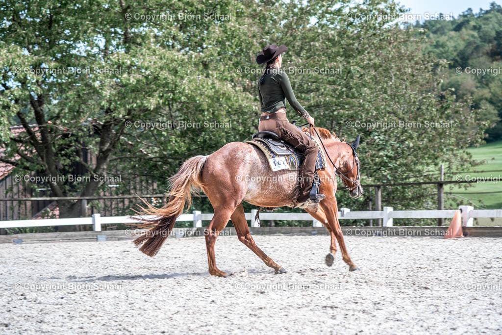 HOB01041 | BS-foto