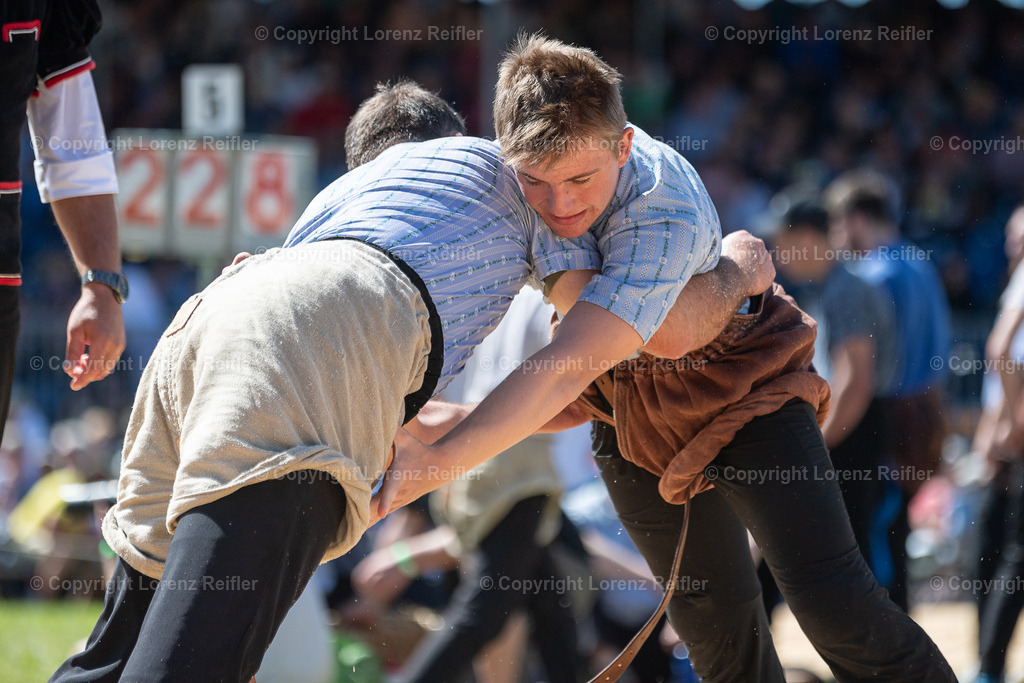 Schwingen -  St.Galler Kantonal 2024 | Grabs, 26.5.24, Schwingen - St.Galler Kantonal.