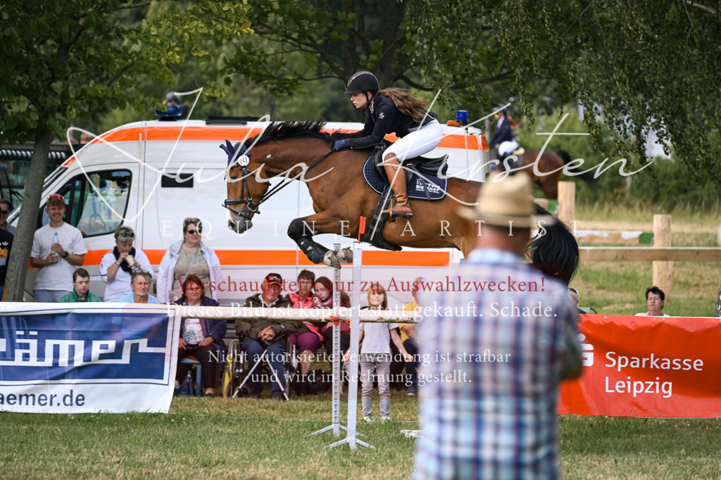 DSC_0890 | Pferde- und Turnierfotografie in Westsachsen. Pferdeportraits, Auftragszeichnungen und intuitive Kunst.