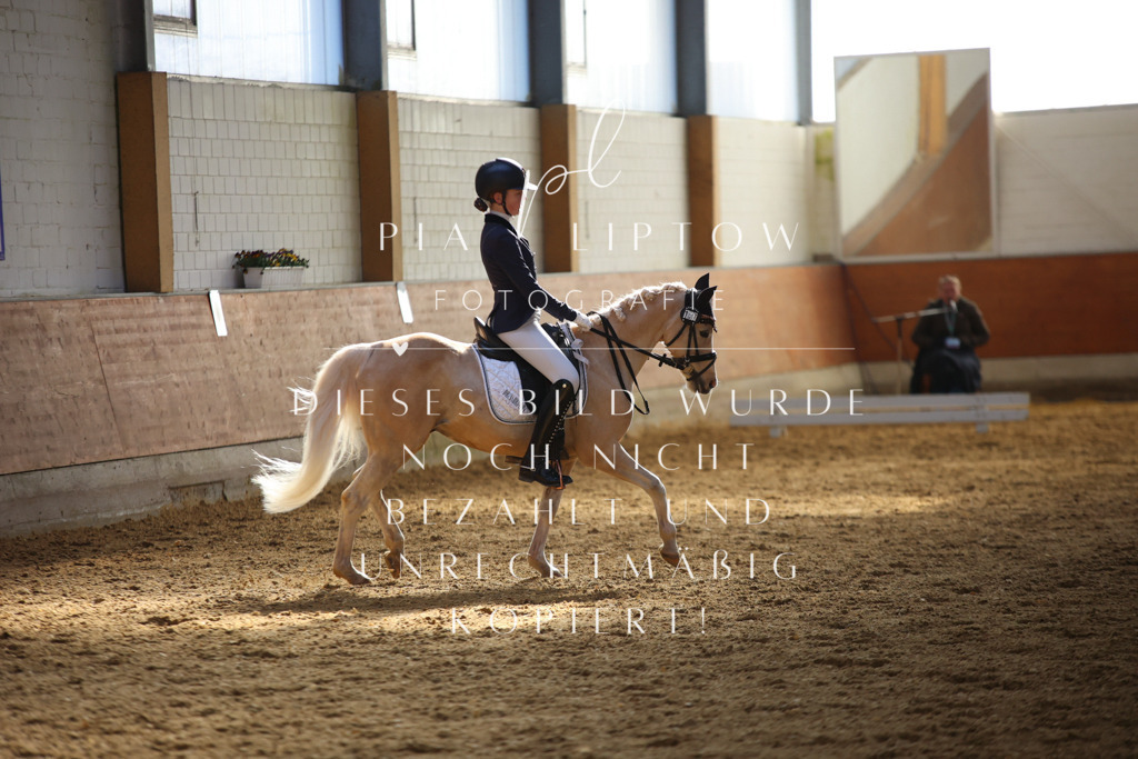 IMGT6684 | pl-fotografie