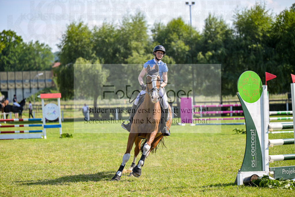 Reitturnier Voxtrup | Entdecke hochwertige Reitturnierfotos von Foto Oger. Professionell, emotional und authentisch – jetzt Lieblingsmomente im Shop bestellen. - Realisiert mit Pictrs.com