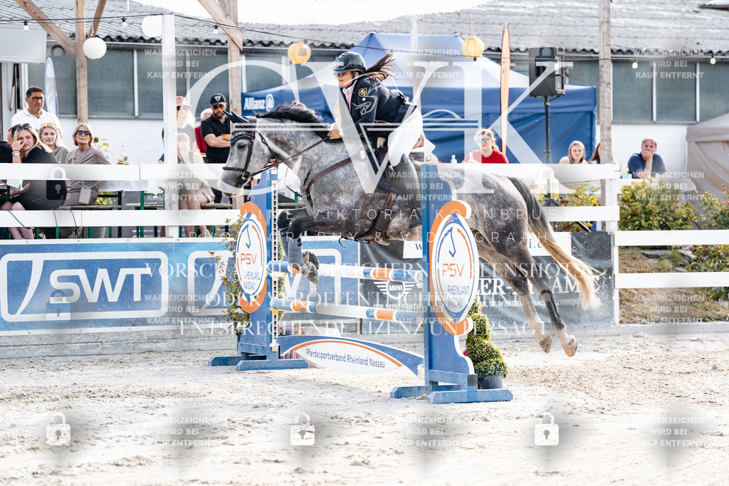CK906233 | Turnierfotografie Pferdefotografie Trier Rheinland-Pfalz Pferdesport Reitsport Tierfotografie Sportfotografie Pferdevideo Pferdevideografie Equestrianvideography equestrianphotography  - Realisiert mit Pictrs.com