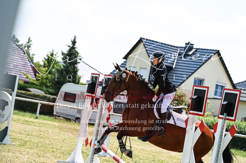 DSC_9882 | Pferde- und Turnierfotografie in Westsachsen. Pferdeportraits, Auftragszeichnungen und intuitive Kunst.