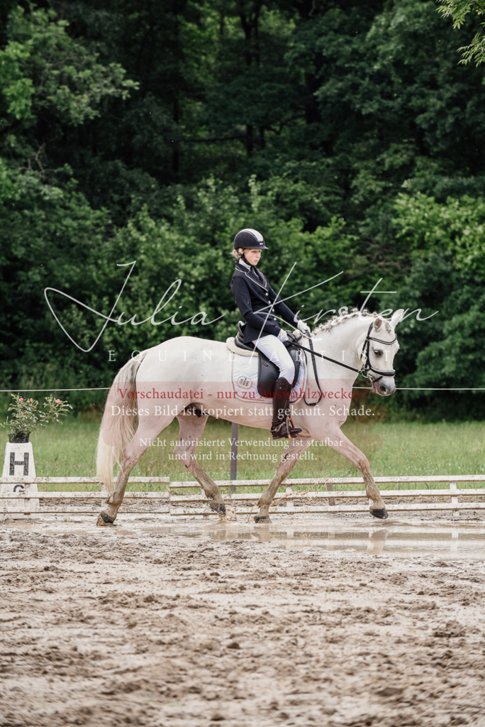 DSC_9413 | Pferde- und Turnierfotografie in Westsachsen. Pferdeportraits, Auftragszeichnungen und intuitive Kunst.