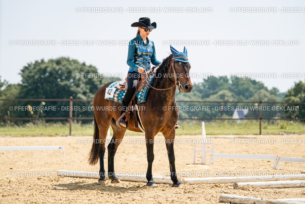 DSC00737 | Pferdegrafie