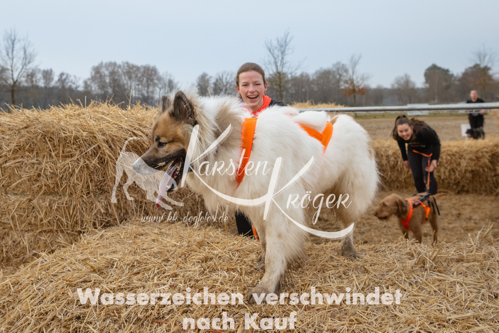 0821_ZZ92582 | kk-dogfotos