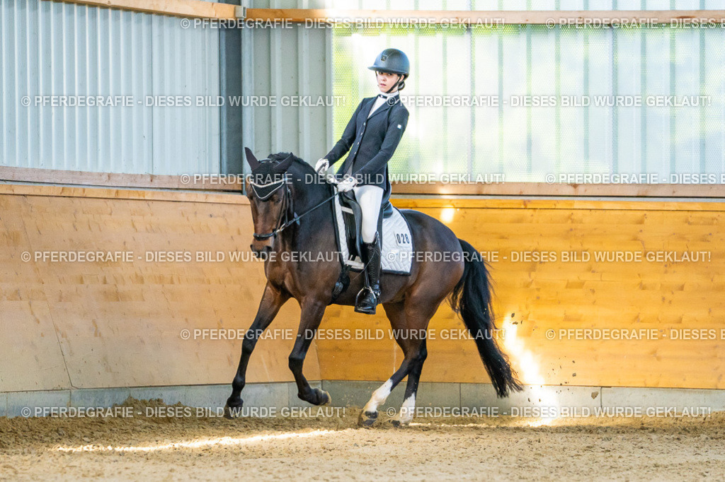 DSC06140 | Pferdegrafie