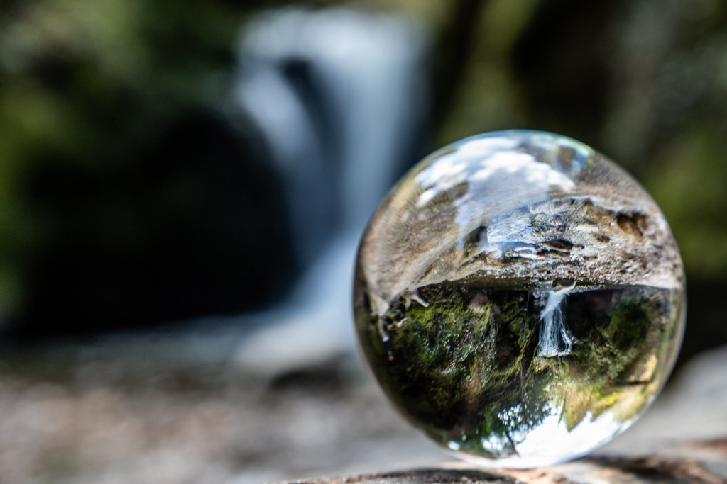 IMG_2121 | ehrlichefotos - Realisiert mit Pictrs.com