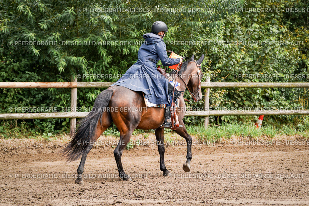 DSC06013 | Pferdegrafie