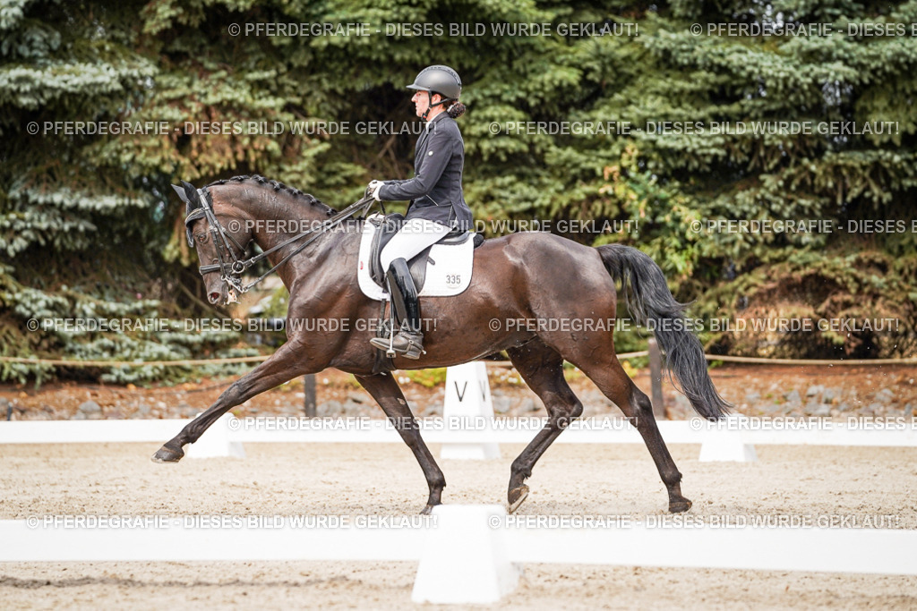 DSC06889 | Pferdegrafie