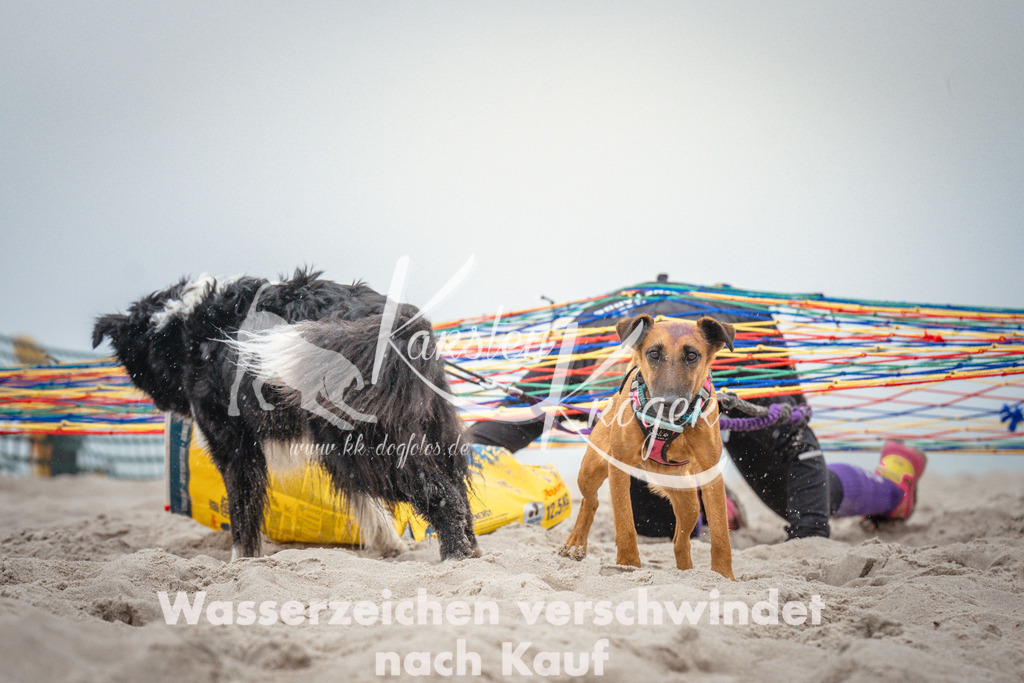 1102_ZZ96630 | kk-dogfotos