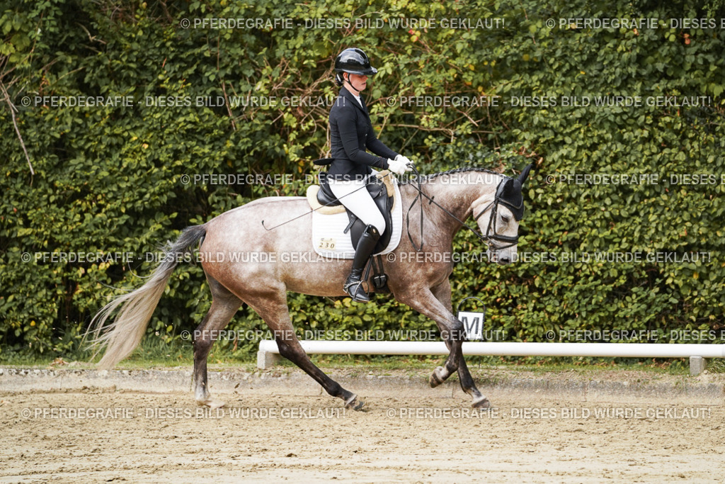 DSC00771 | Pferdegrafie