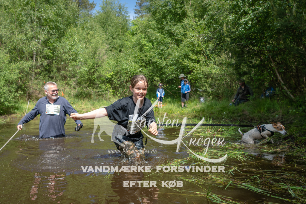 1133DKK990563 | kk-dogfotos