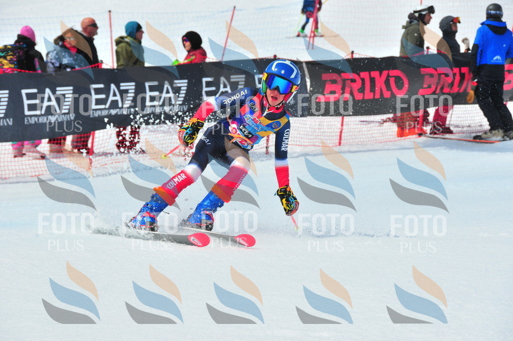 DSC_7151 | holidayphoto