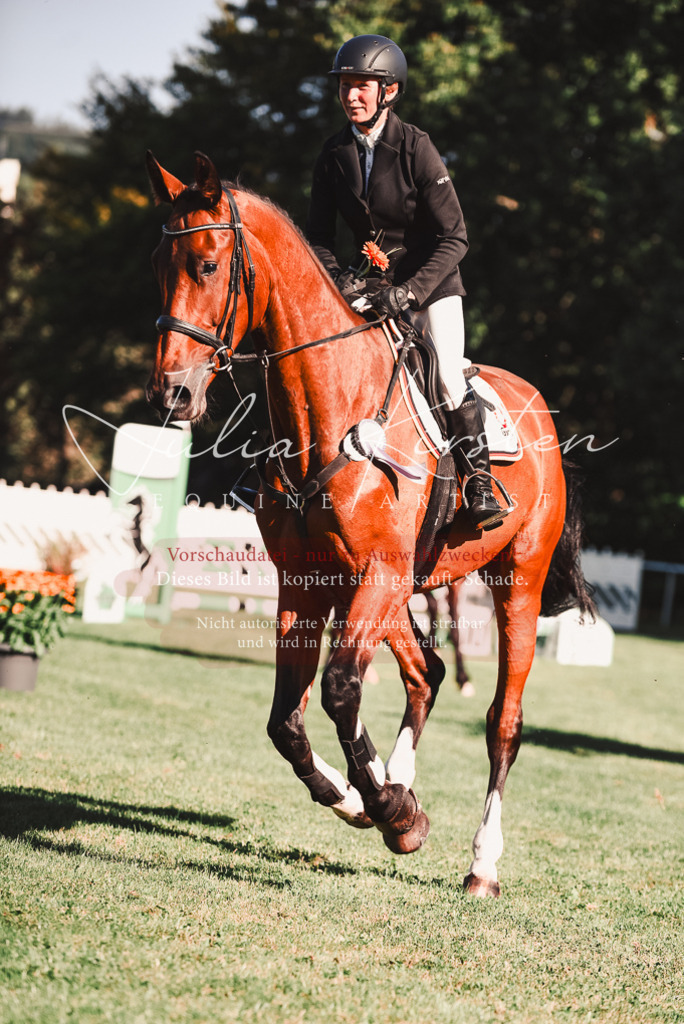 DSC_2319 | Pferde- und Turnierfotografie in Westsachsen. Pferdeportraits, Auftragszeichnungen und intuitive Kunst.