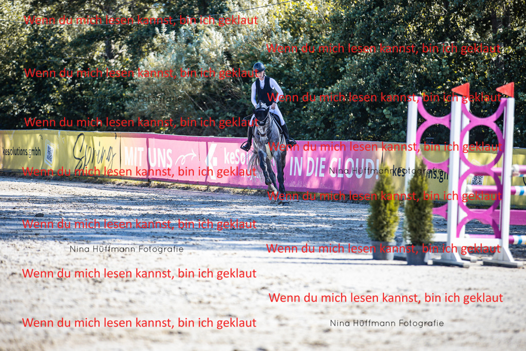 BK1A5737 | Turnierbilder Turnierfotos Nina Hüffmann Turnierfotografie Pferdefotografie Tierzeichnung Haustierzeichnung Pferdezeichnung Hundezeichnung Videograf  - Realisiert mit Pictrs.com