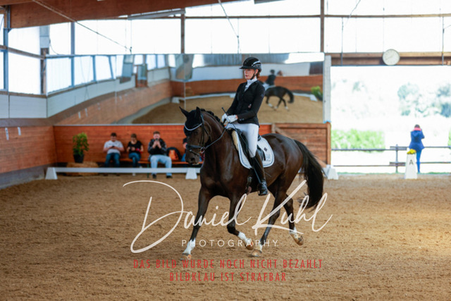 _62_4931 | Turniersportfotografie; Pferdefotografie; Dressurfotografie