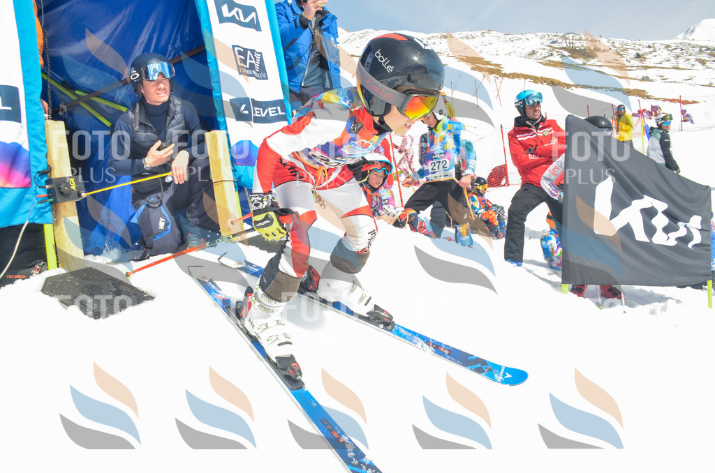 _ELE6977 | holidayphoto