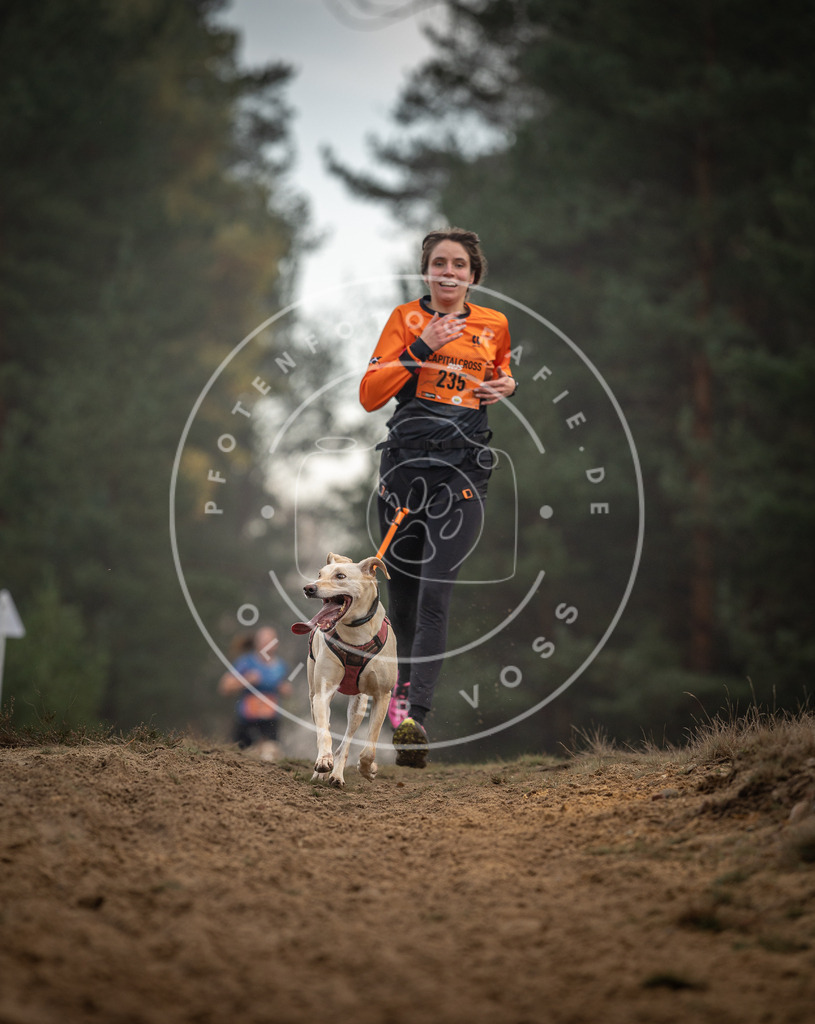 Pfotenfotografie_DV3A5541 | Hundefotografie, Tierfotograf, Pfotenfotografie, Fotoshooting Hund, Hunde Portrait, Hundesport, Hundeportraits, Heideshooting, Hunde, Sportfotograf, Hundefotograf, Turnierhundsport, THS,  - Realisiert mit Pictrs.com